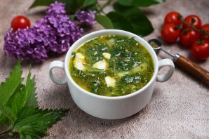 Борщ из крапивы Борщ из крапивы